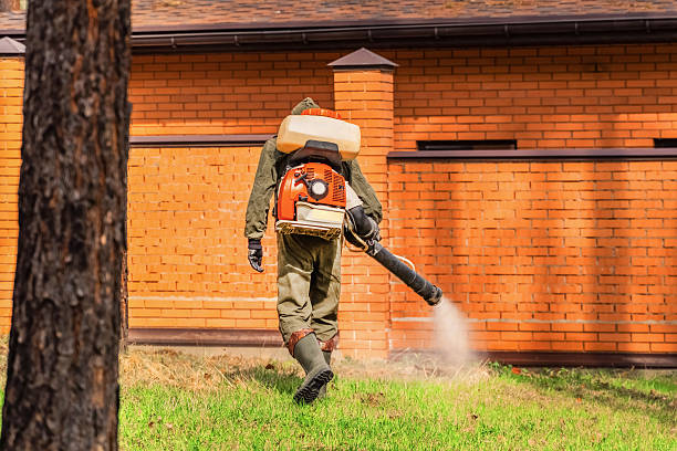 Trusted Termite Control service in Lebanon, TN - Nex Pest Control